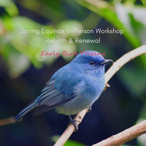 Spring Equinox Workshop: Rebirth & Renewal - March 21-23 {In-Person}